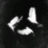 swyt_lliaaa