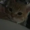 .kissmeocte