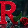 user5305776063616