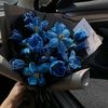 samiha_3.2.1