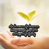 myint.myat.aung46403