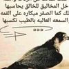 user2020656141818