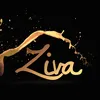 zivapainter