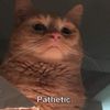 coach.patteetik