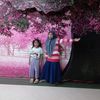 bungaputri330