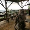 teh_rina676
