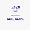 ardimila8