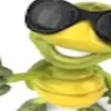 suaterezinha