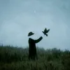 vs6_v