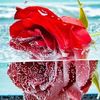 mariamabdulrazac9