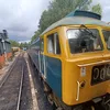 mrcookson37294