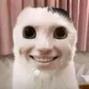chiuoi10