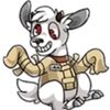loony_bin_dingo