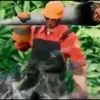 riunaldo