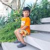 thulwin348