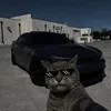 di.silva_