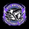 NYC Raptors