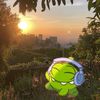 sofia_309811