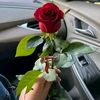 rosy.rivera16