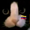 sofiii_699