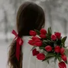 roza13208v6