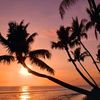 sunset_lover378