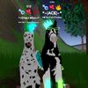 tradingandrating