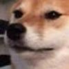 mikethedoge_1
