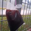 mohamadh_a