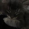 defnot_addy7