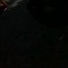didindropp