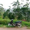 cahya_doak24