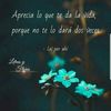 liliareyes847