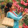 anitakhadka5396