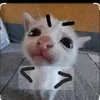 melonngon7