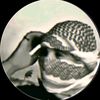 『عــمــر الــشـــاوي』