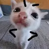 somitkiii