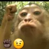_joao_345