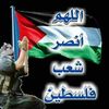 user82223456826521