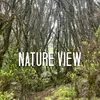 natureviewenjoy