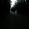 Mr.Rolni3k