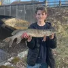 fiske1111