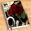 rubabgul71