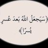 mostafa.kamal3080