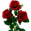 786jasmina1