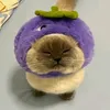ria._43