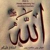 fatima.amanat