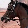 user12068865520217