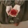 abd86ra5