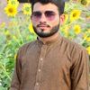 mianhassan3480